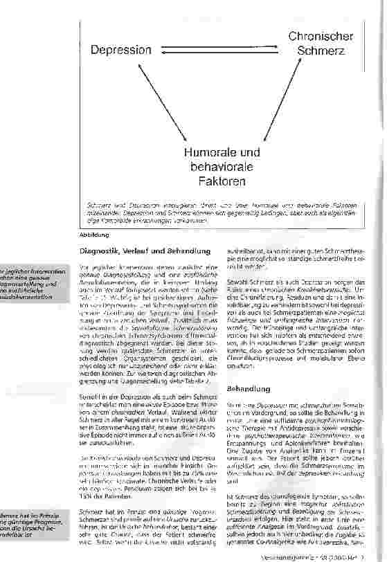 Vorschauseite 2: Chronischer Schmerz und Depression