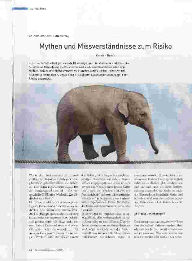 Vorschauseite 1: Mythen und Missverständnisse zum Risiko