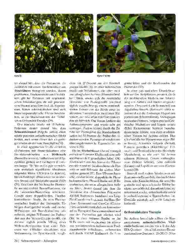 Vorschauseite 5: Asthma bronchiale