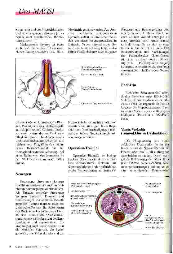 Vorschauseite 2: Erektile Dysfunktion 1. Teil: Ätiologie und Diagnostik