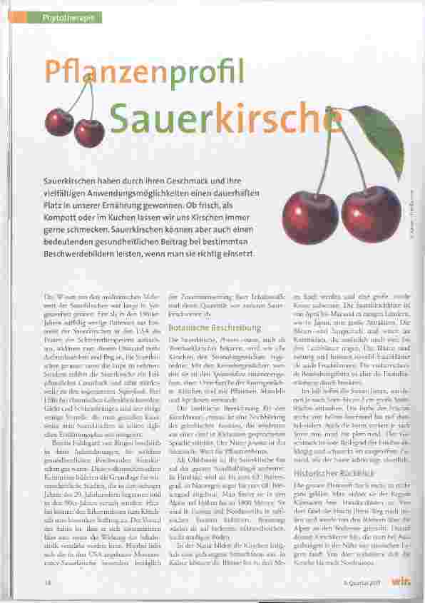Vorschauseite 1: Pflanzen Profil Sauerkirsch