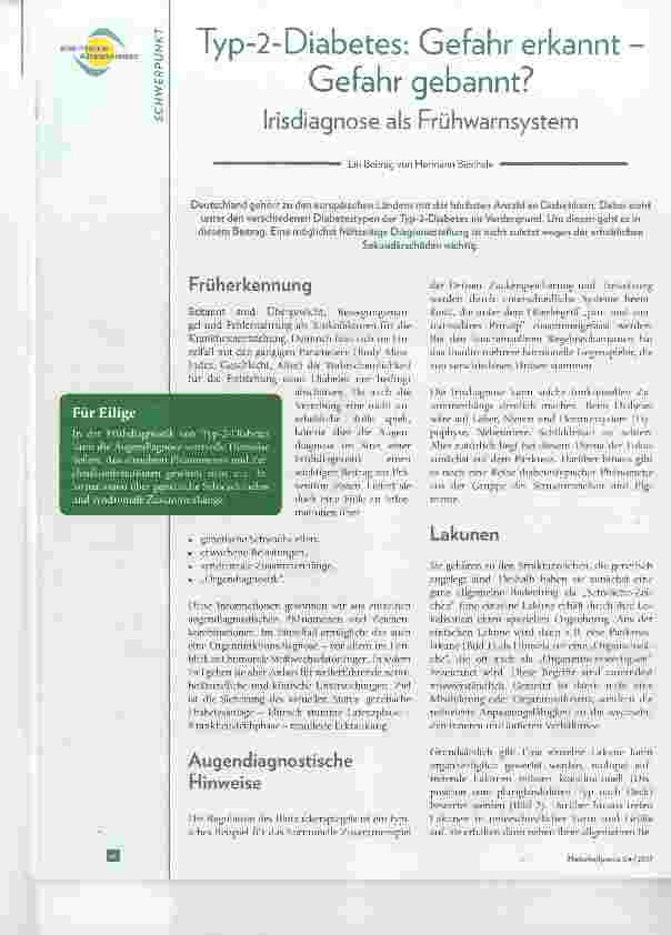 Vorschauseite 1: Typ-2-Diabetes: Gefahr erkannt Gefahr gebannt? Irisdiagnose als Frühwarnsystem