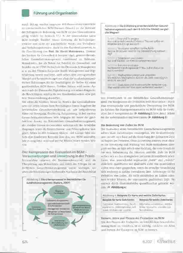 Vorschauseite 2: Der Prozess der Evaluation im betrieblichen Gesundheitsmanagement