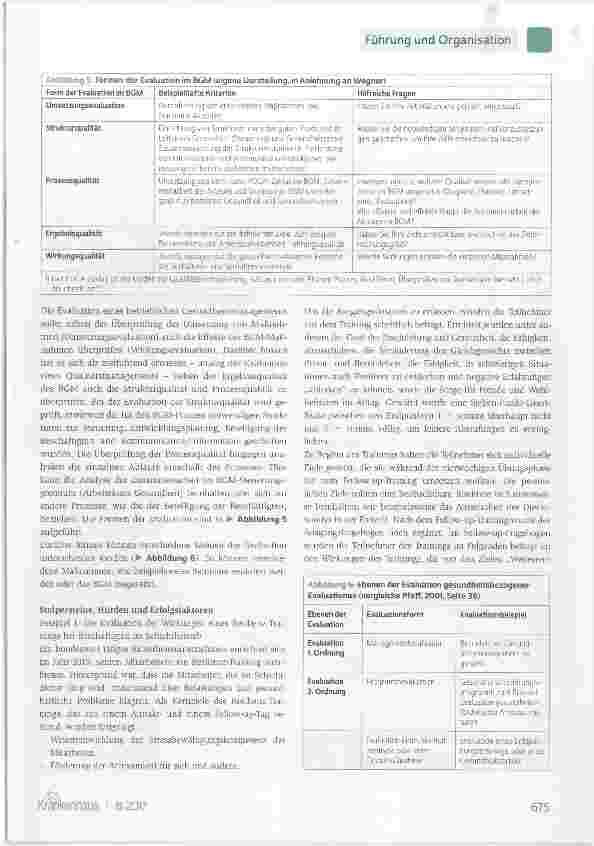 Vorschauseite 3: Der Prozess der Evaluation im betrieblichen Gesundheitsmanagement