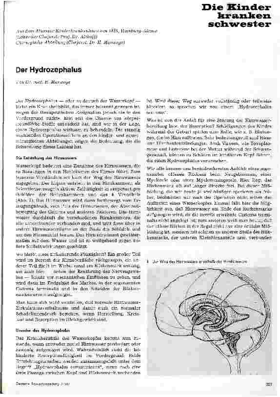 Vorschauseite 1: Der Hydrozephalus