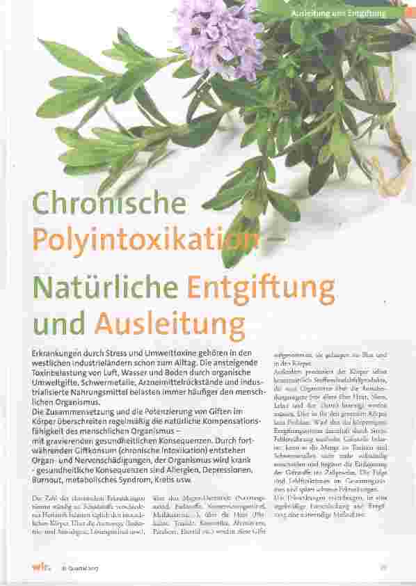 Vorschauseite 1: Chronische Polyintoxikation- Natürliche Entgiftung und Ausleitung