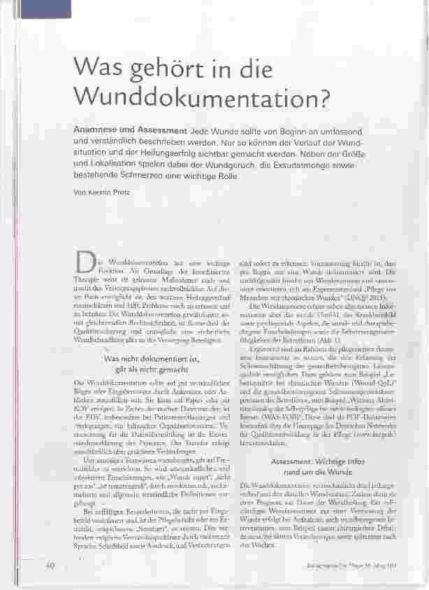 Vorschauseite 1: Was gehört in die Wunddokumentation?