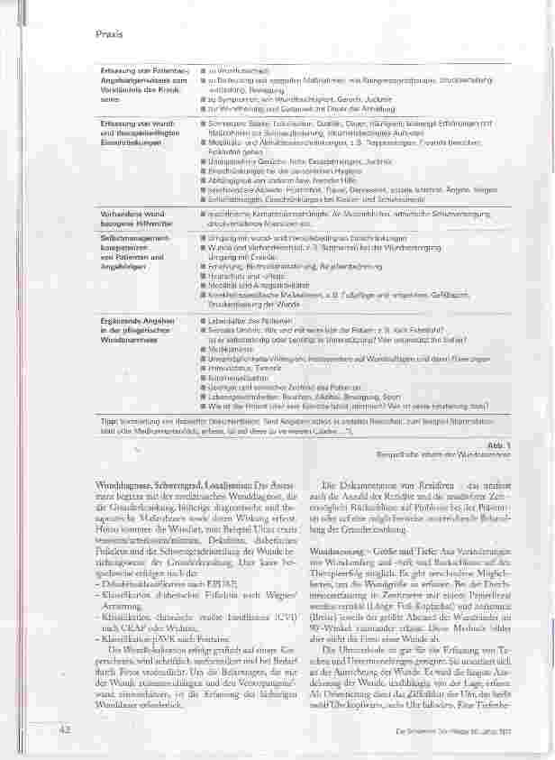 Vorschauseite 3: Was gehört in die Wunddokumentation?