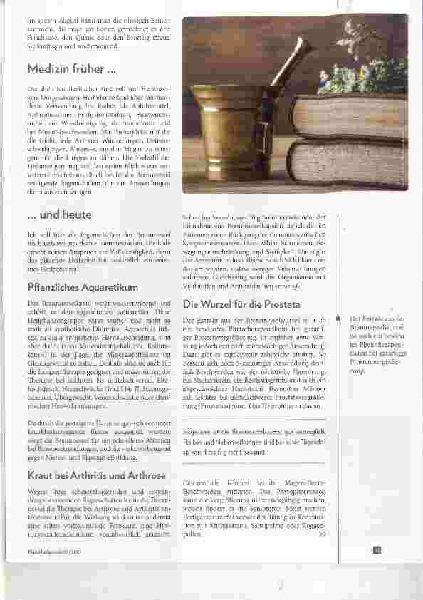 Vorschauseite 3: Grofee Brennnessel - Urtica dioica N-Heilpflanze des Jahres 2017