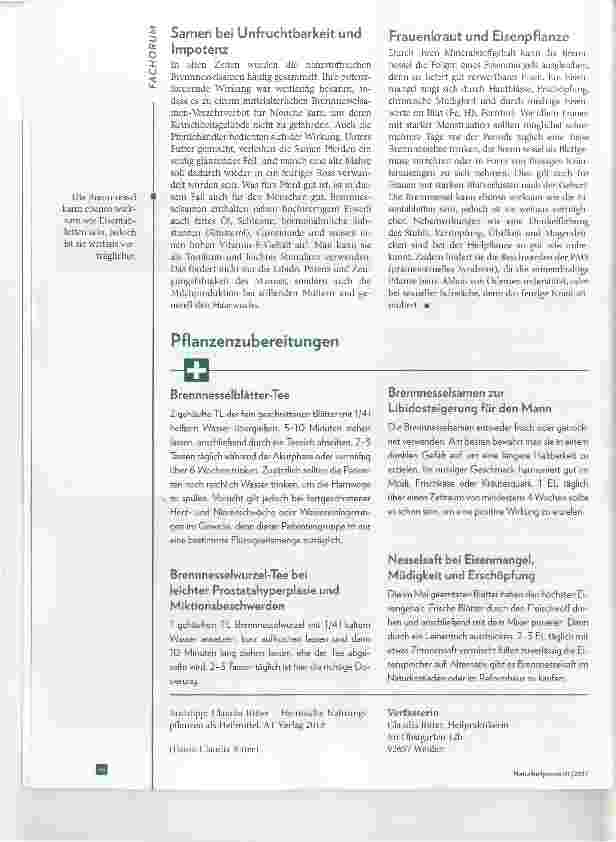 Vorschauseite 4: Grofee Brennnessel - Urtica dioica N-Heilpflanze des Jahres 2017