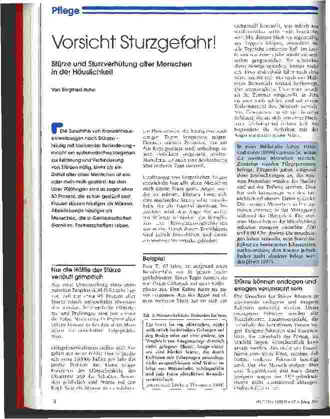 Vorschauseite 1: Vorsicht Sturzgefahr! Stürze und Sturzverhütung alter Menschen in der Häuslichkeit