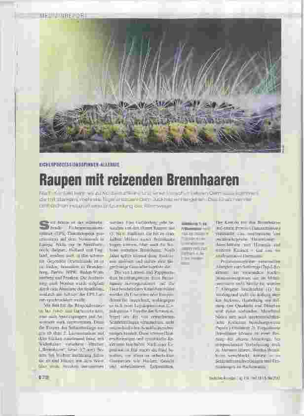 Vorschauseite 1: Raupen mit reizenden Brennhaaren