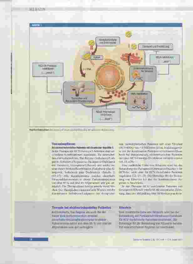 Vorschauseite 4: Therapieoptionen bei Hepatitis C