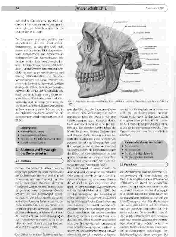 Vorschauseite 2: Mögliche Dysfunktionen des Kiefergelenks - Darstellung funktioneller Zusammenhänge und Vernetzungen