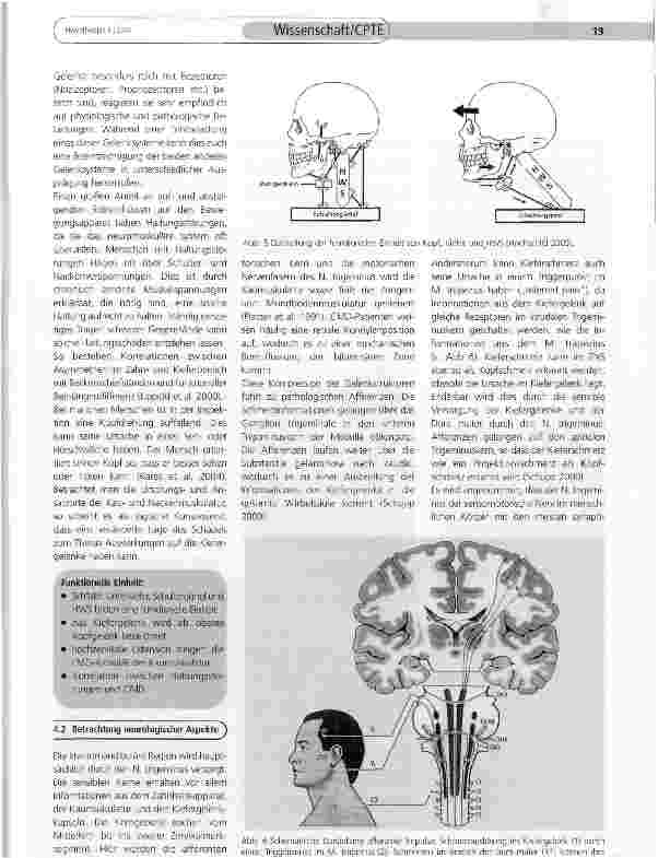 Vorschauseite 5: Mögliche Dysfunktionen des Kiefergelenks - Darstellung funktioneller Zusammenhänge und Vernetzungen