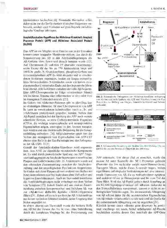 Vorschauseite 4: Neue Wege zur Früherkennung der Alzheimer-Krankheit: ALZheimer ASsociated Gene und Biomarker im Blut
