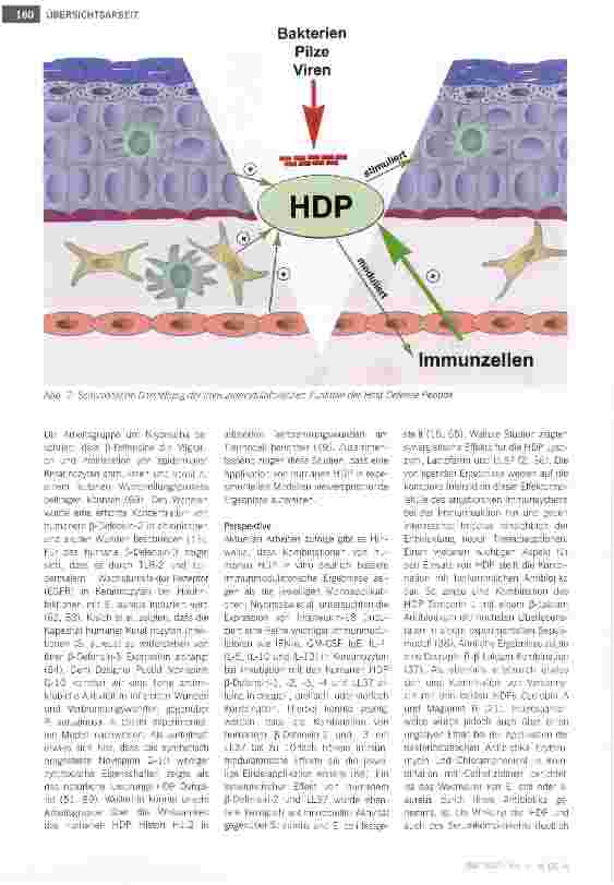 Vorschauseite 4: Effektormoleküle der angeborenen Immunabwehr -neue Therapieoptionen für die Behandlung diabetischer Wunden?