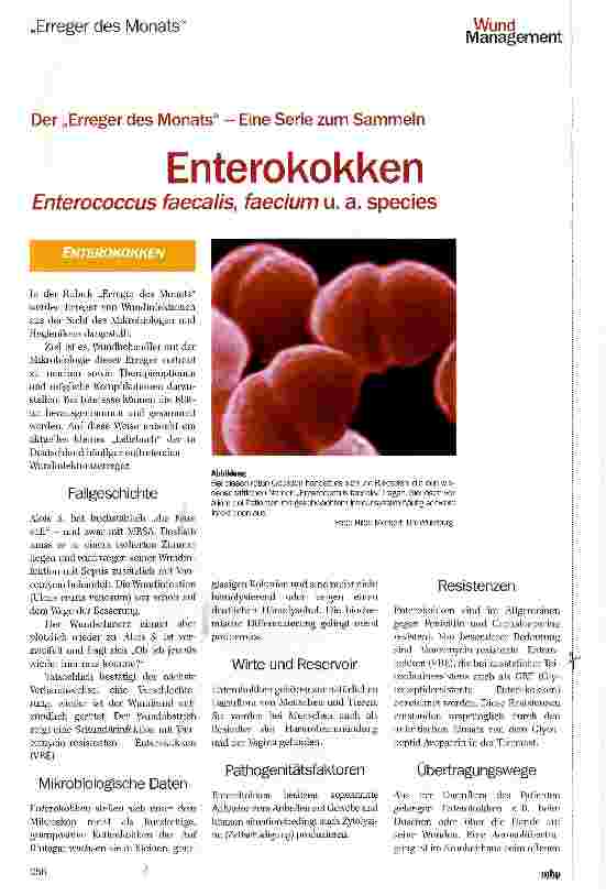 Vorschauseite 1: Der „Erreger des Monats — Eine Serie zum Sammeln EnterokokkenEnterococcus faecalis, faecium u. a. species