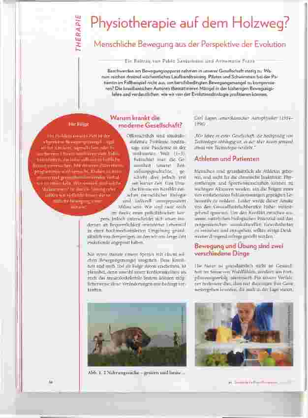 Vorschauseite 1: Physiotherapie auf dem Holzweg?