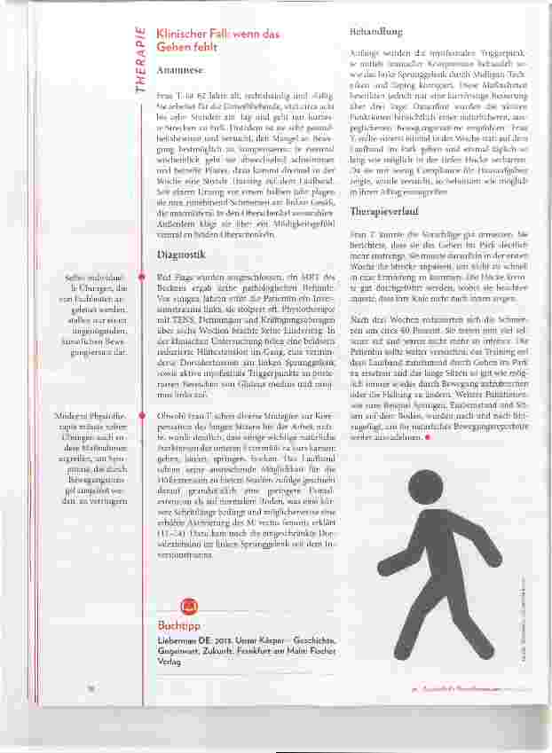 Vorschauseite 3: Physiotherapie auf dem Holzweg?