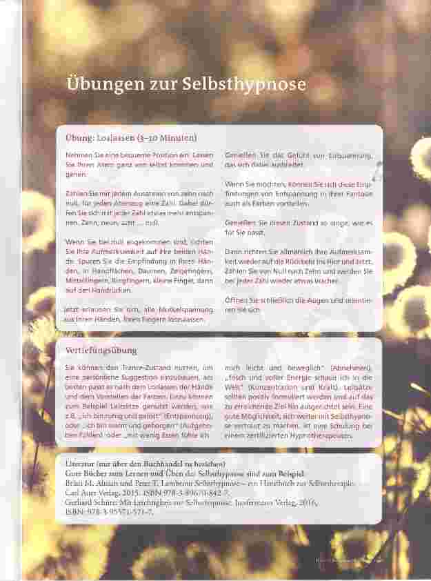 Vorschauseite 4: Die moderne Hypnose-Therapie