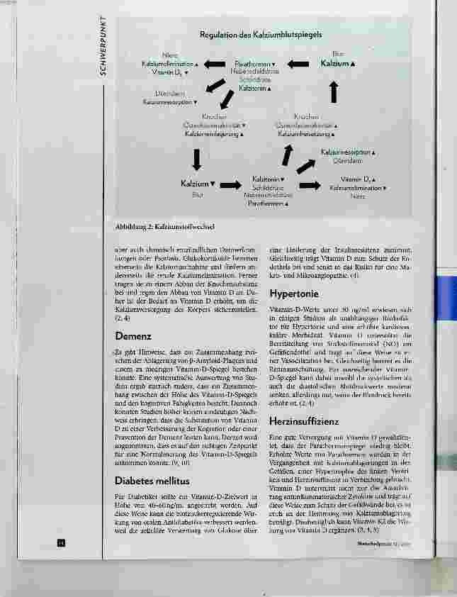 Vorschauseite 4: Vitamin D - nicht nur zur Osteoporoseprophylaxe