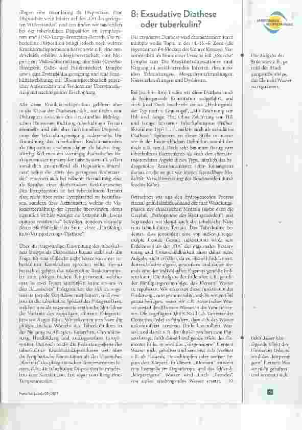 Vorschauseite 4: Die Konstitutionslehre der Irisdiagnose auf dem „Prüfstand“ Teil II