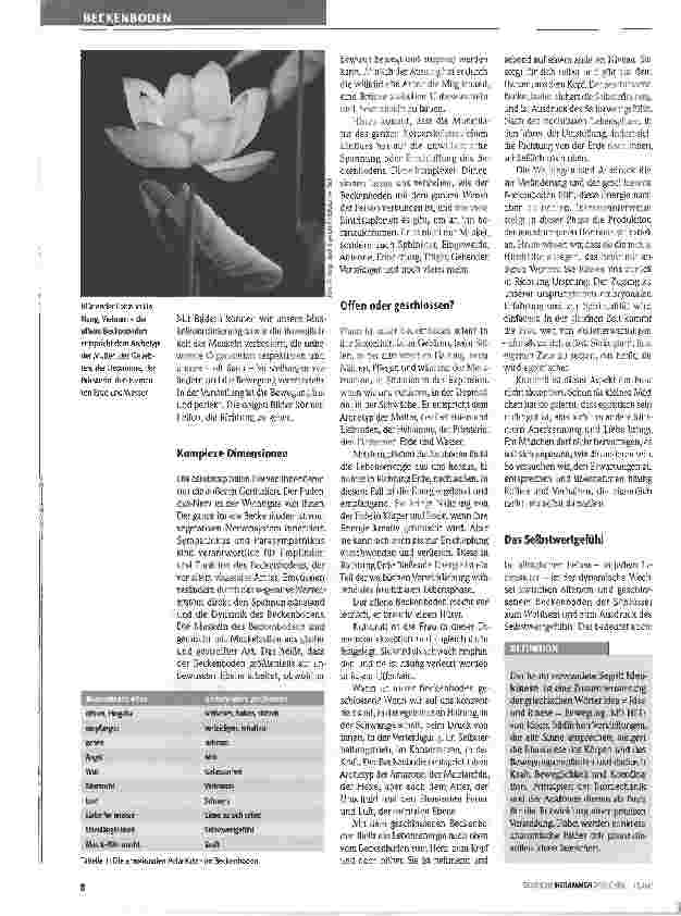 Vorschauseite 3: Beckenboden und Selbstwertgefühl