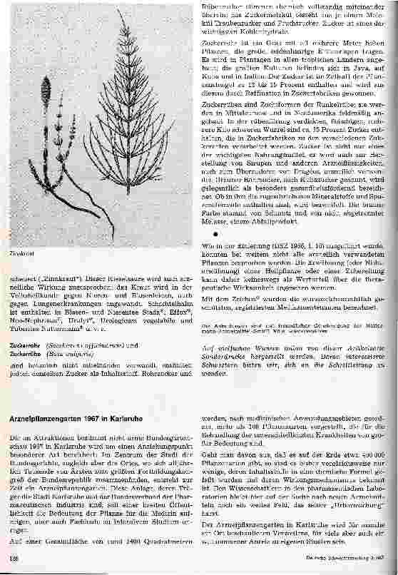 Vorschauseite 2: Arzneipflanzen 14. Fortsetzung und Schluß