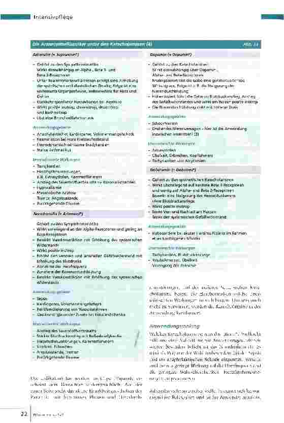 Vorschauseite 3: Pflege bei Adrenalin, Dopamin & Co