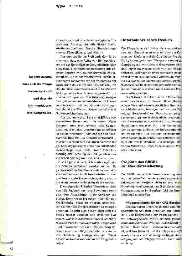 Vorschauseite 2: Welche Projekte entwickelt der Berufsverband zur Pflegequalität?