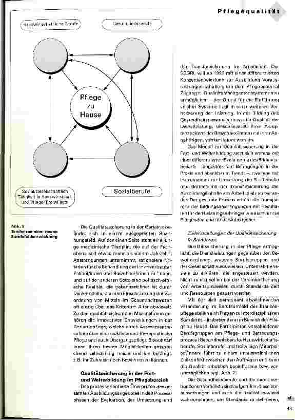 Vorschauseite 3: Welche Projekte entwickelt der Berufsverband zur Pflegequalität?
