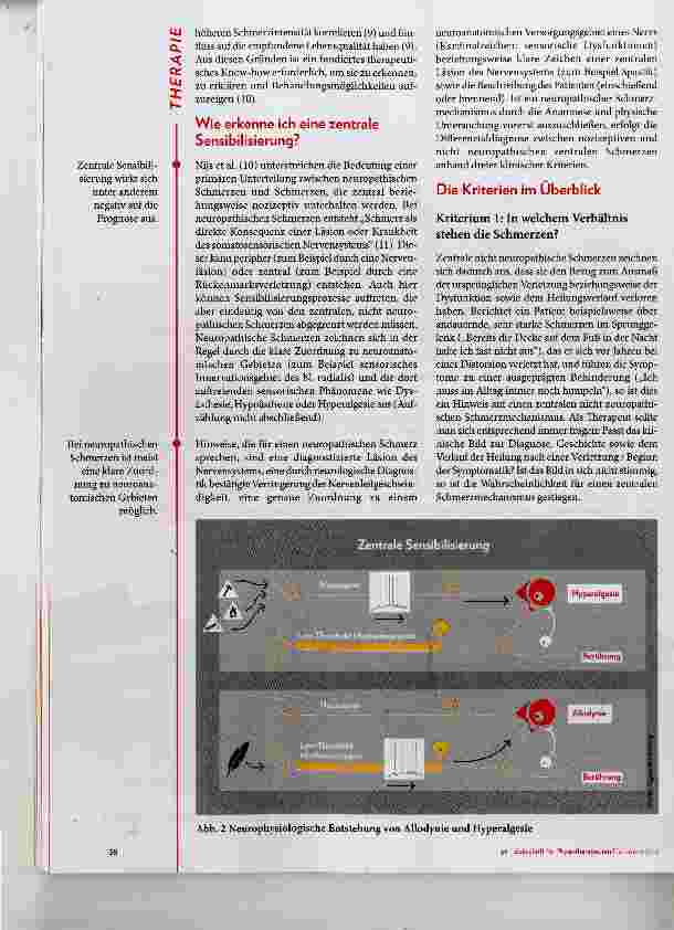 Vorschauseite 3: Alles immer nur zentral?