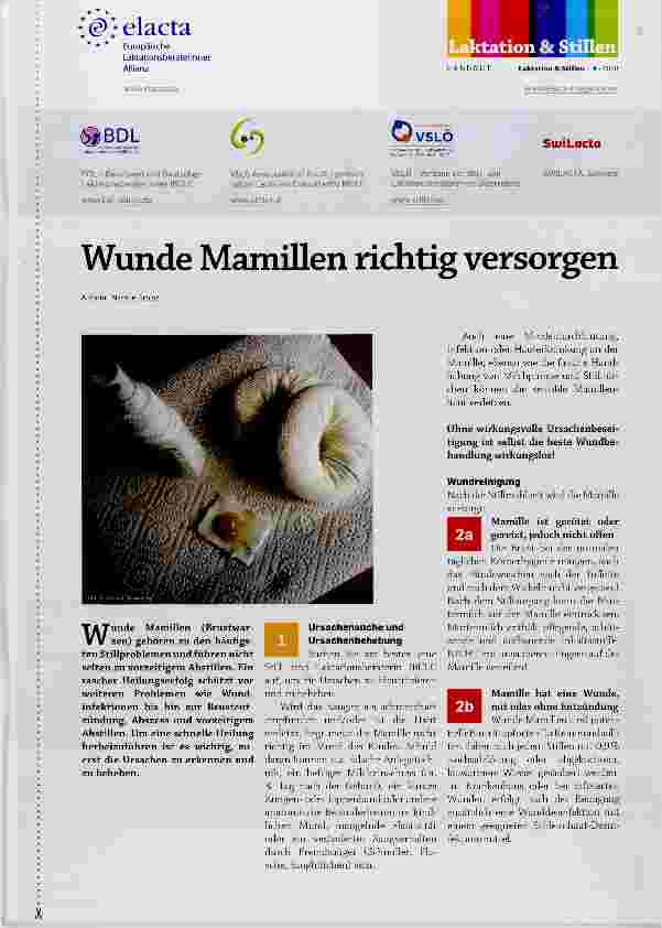 Vorschauseite 1: Wunde Mamülen richtig versorgen
