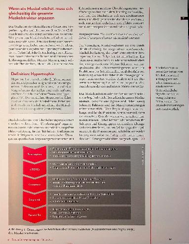 Vorschauseite 2: Mysterium Hypertrophie Erkenntnisse und Potentiale für optimiertes Muskelwachstum