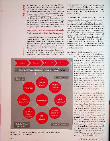 Vorschauseite 3: Mysterium Hypertrophie Erkenntnisse und Potentiale für optimiertes Muskelwachstum