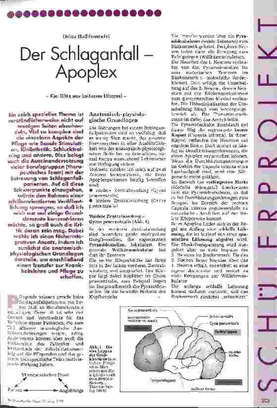 Vorschauseite 1: Der Schlaganfall - Apoplex Ein Blitz aus heiterem Himmel