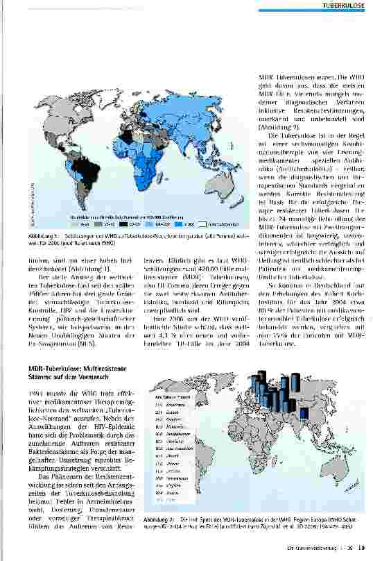 Vorschauseite 2: Tuberkulose — Die Situation in der dritten Welt