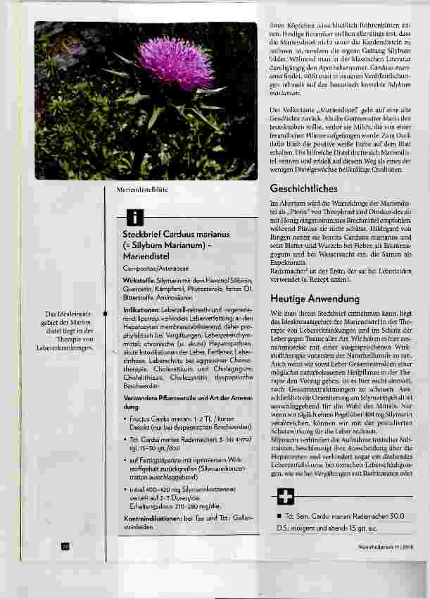 Vorschauseite 2: Mariendistel und Artischocke