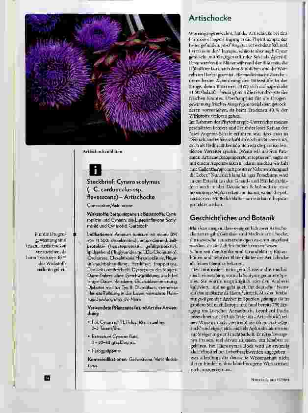 Vorschauseite 4: Mariendistel und Artischocke