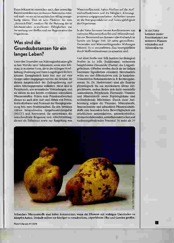 Vorschauseite 4: Topografie der Langlebigkeit