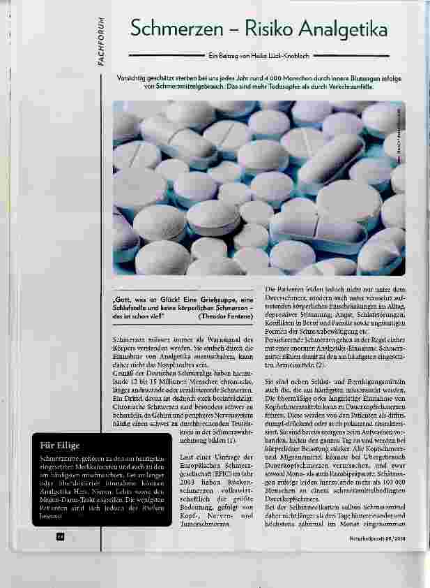 Vorschauseite 1: Schmerzen Risiko Analgetika