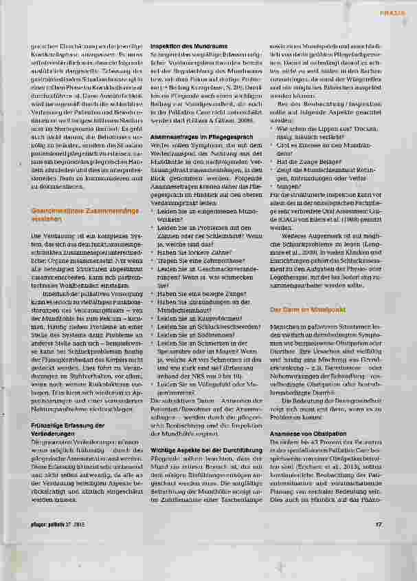 Vorschauseite 2: Verdauungsprobleme pflegerisch erfassen