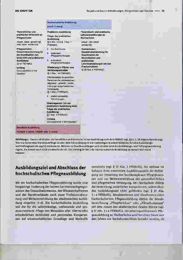 Vorschauseite 2: Anforderungen, Perspektiven und Chancen des neuen Pflegeberufereformgesetzes