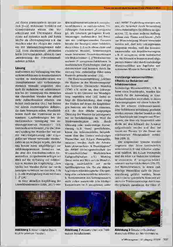 Vorschauseite 2: Einsatz von endständigen Wassersterilfiltern in der modernen Wundversorgung