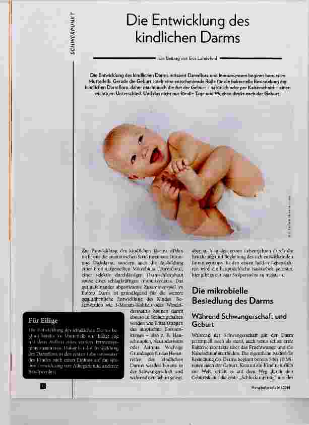 Vorschauseite 1: Die Entwicklung des kindlichen Darms