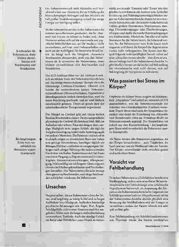 Vorschauseite 2: Nebennierenschwäche