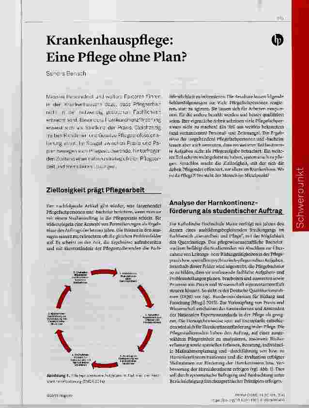 Vorschauseite 1: Krankenhauspflege: Eine Pflege ohne Plan?