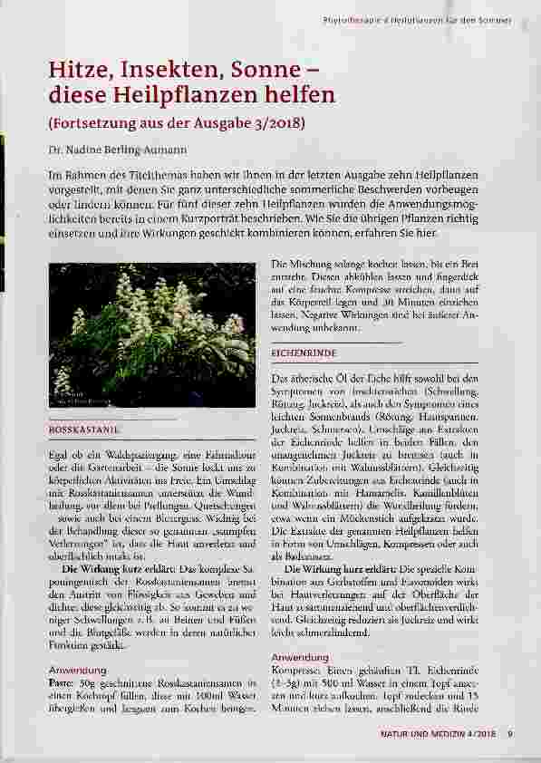 Vorschauseite 1: Hitze, Insekten, Sonne diese Heilpflanzen helfen (Fortsetzung aus der Ausgabe 3/2018)