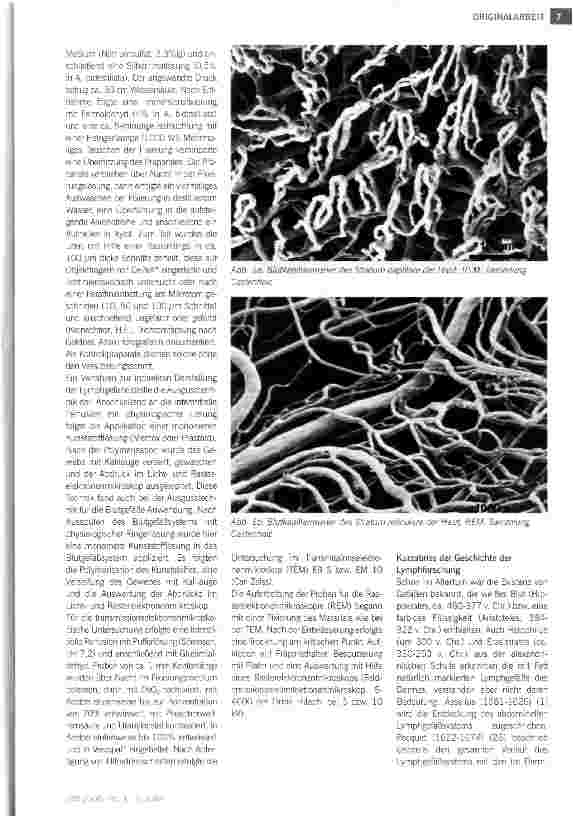 Vorschauseite 2: Bau und Funktion des Lymphgefäßsystems